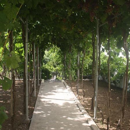 Casatiomanel Villa Amiais de Baixo ภายนอก รูปภาพ